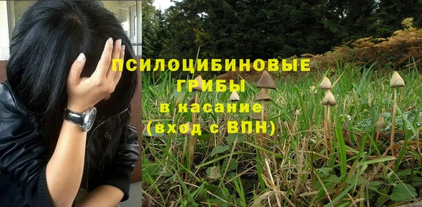 амфетамин Алексеевка
