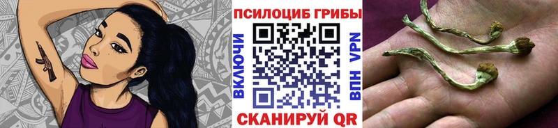 Галлюциногенные грибы Magic Shrooms  Мамоново 
